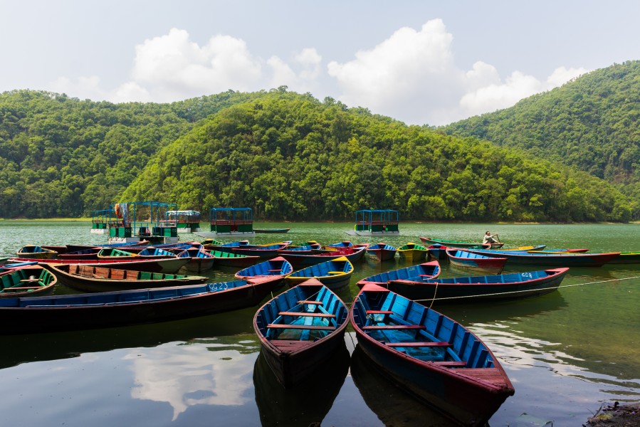 Phewa Lake 2603