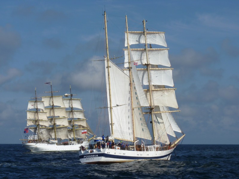 Pogoria26