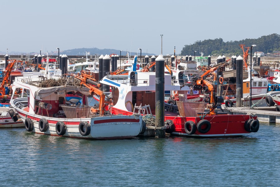 Porto de Rianxo. Galiza-13