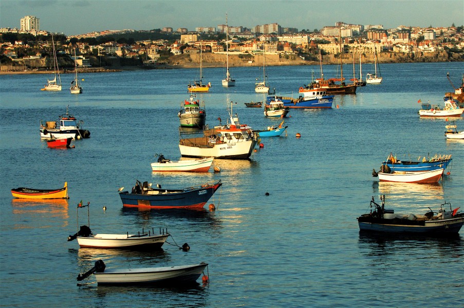 Portuguese fishing boats
