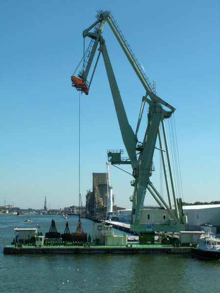 Portunus