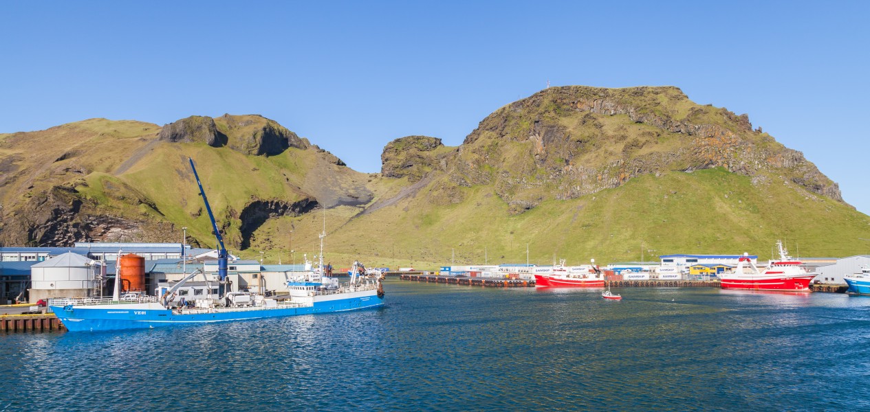 Puerto de Vestmannaeyjar, Heimaey, Islas Vestman, Suðurland, Islandia, 2014-08-17, DD 020