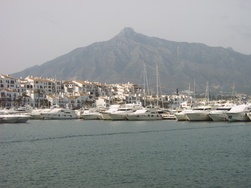 Puertobanus