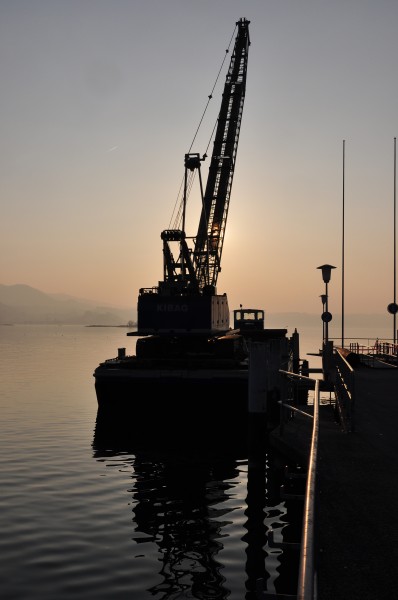 Rapperswil - Hafen 2011-03-08 17-26-06