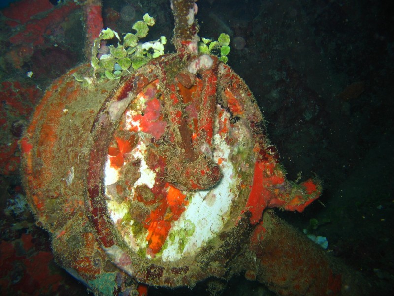 Reef3590 - Flickr - NOAA Photo Library