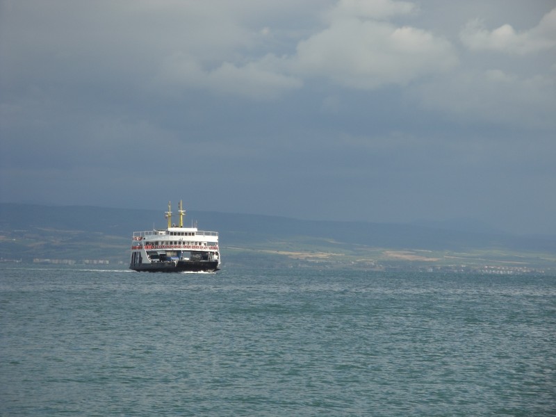 Roro 02784 Nevit