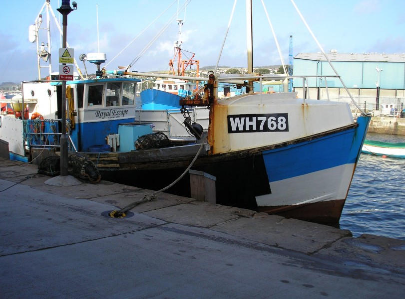 Royalty In Dock (8097551442)