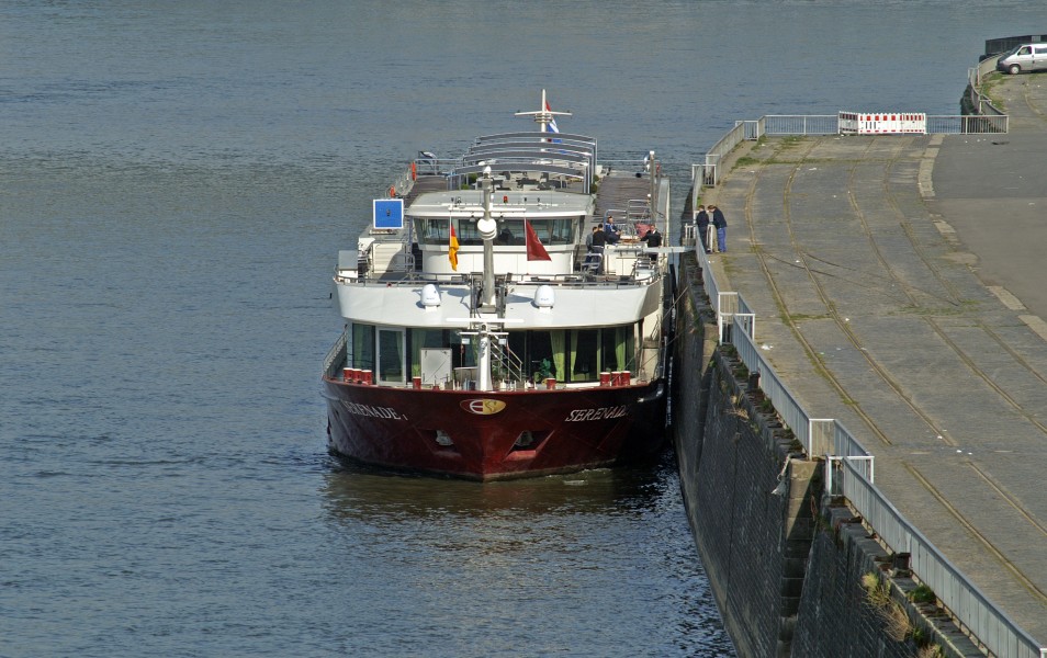 Serenade 1 (ship, 2005) 003