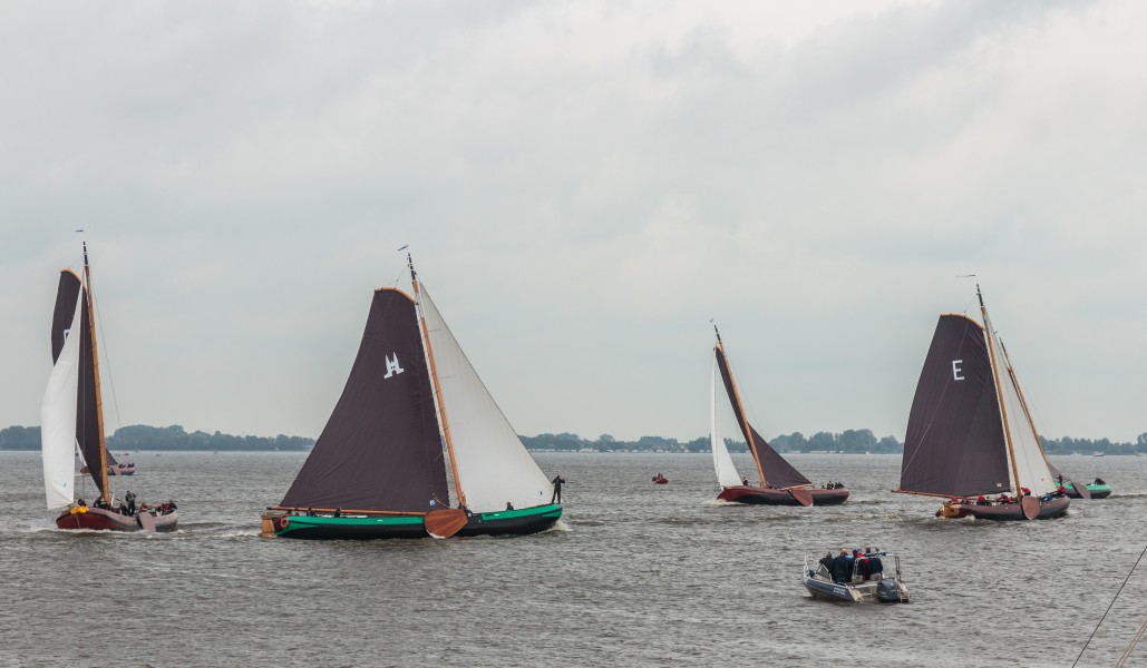 Skûtsjesilen. Skûtsjes in actie op het Sneekermeer 03