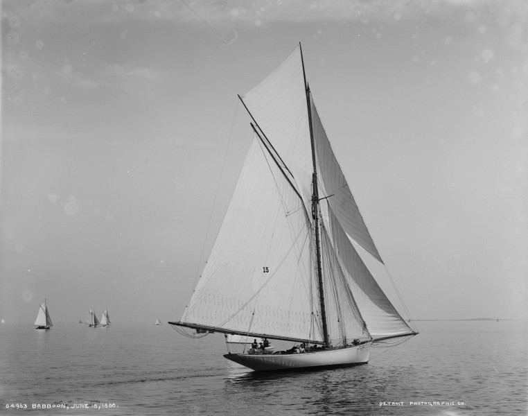 Sloop Babboon-1