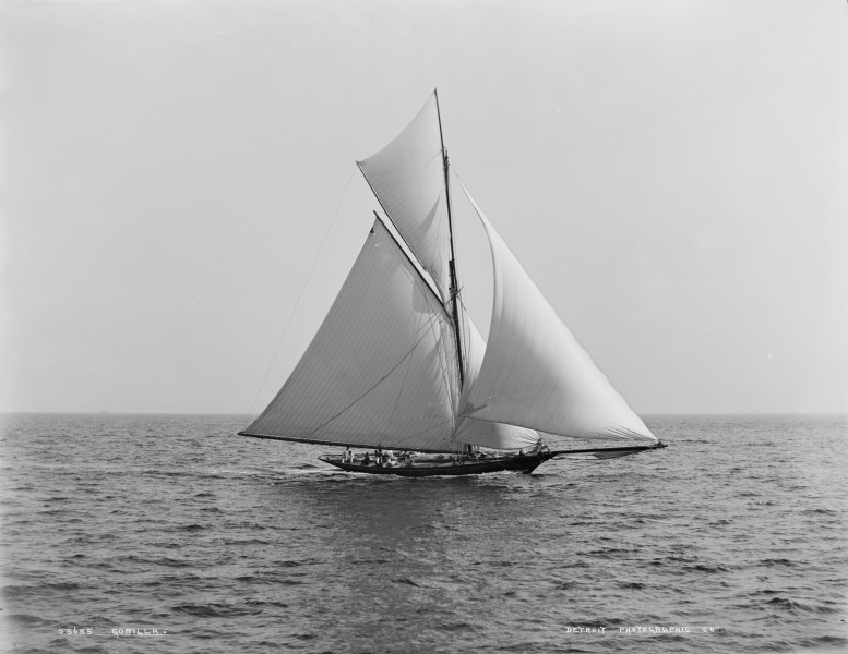 Sloop Gorilla-1