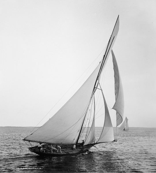 Sloop Gorilla-2