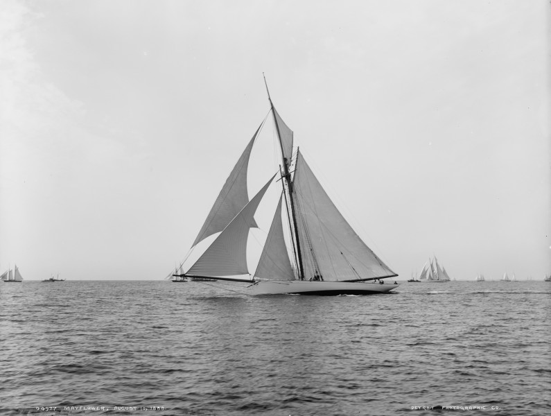 Sloop Mayflower-3