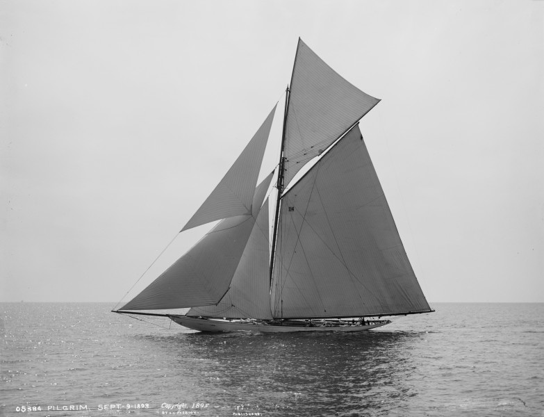 Sloop Pilgrim-2
