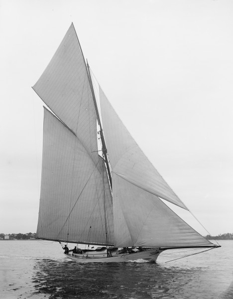 Sloop Verena-3