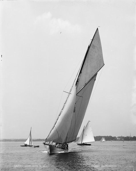 Sloop Wasp-11