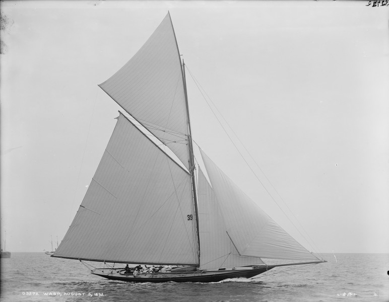 Sloop Wasp-5