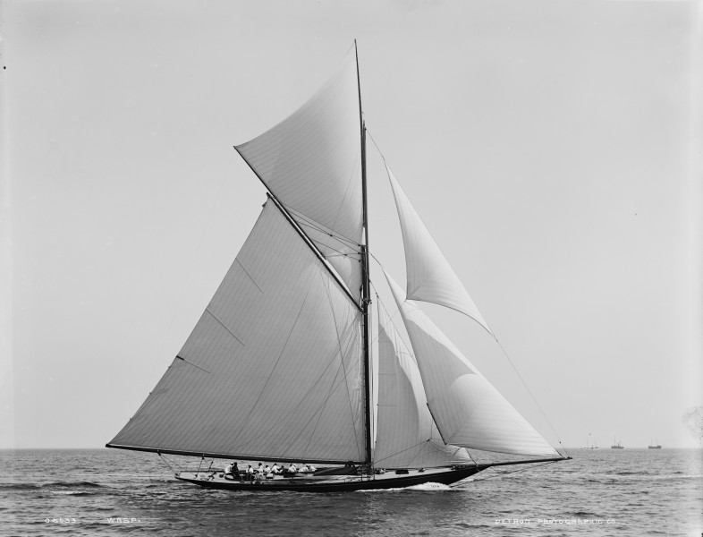 Sloop Wasp-9