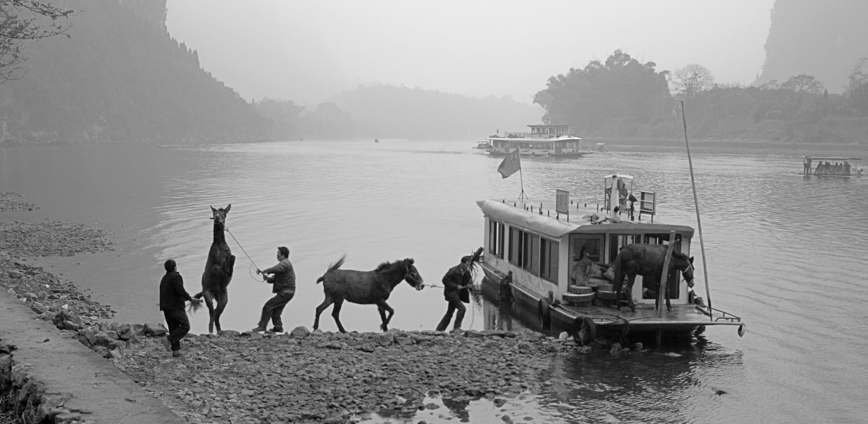 Some people are trying to get a horse going on a boat
