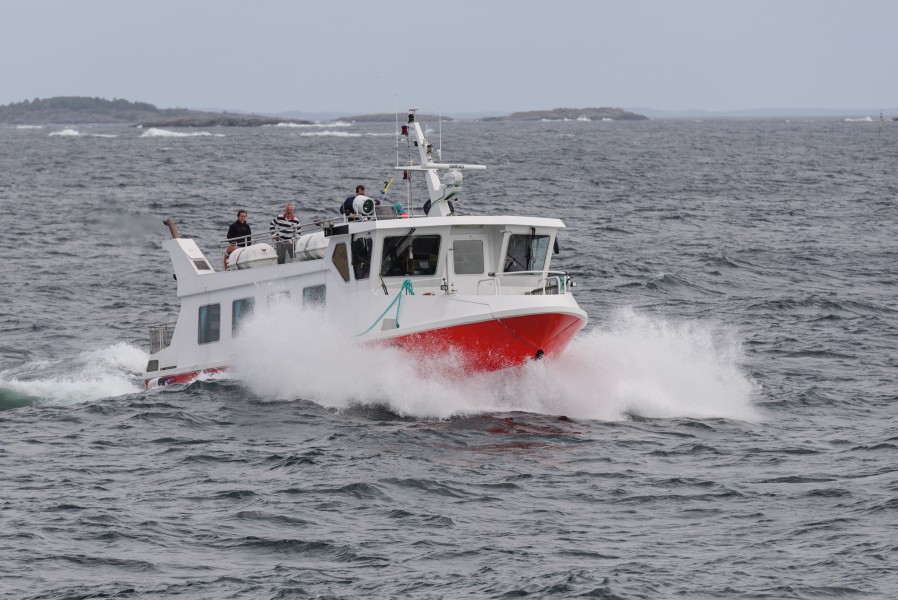 Stångskär August 2016 02