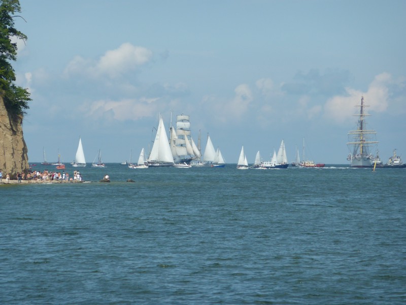 Tall Ships' Races Gdynia 2009