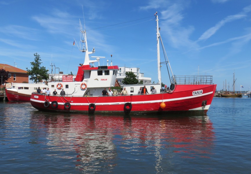 TANJA 1464
