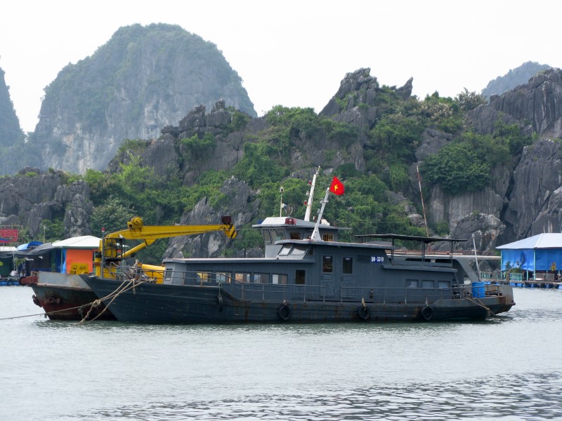 Tau kiem lam