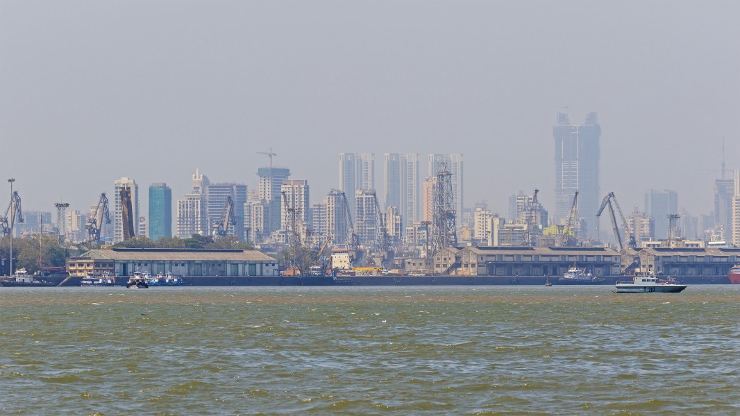 Thane Creek and Elephanta Island 03-2016 - img02 Mumbai Harbour