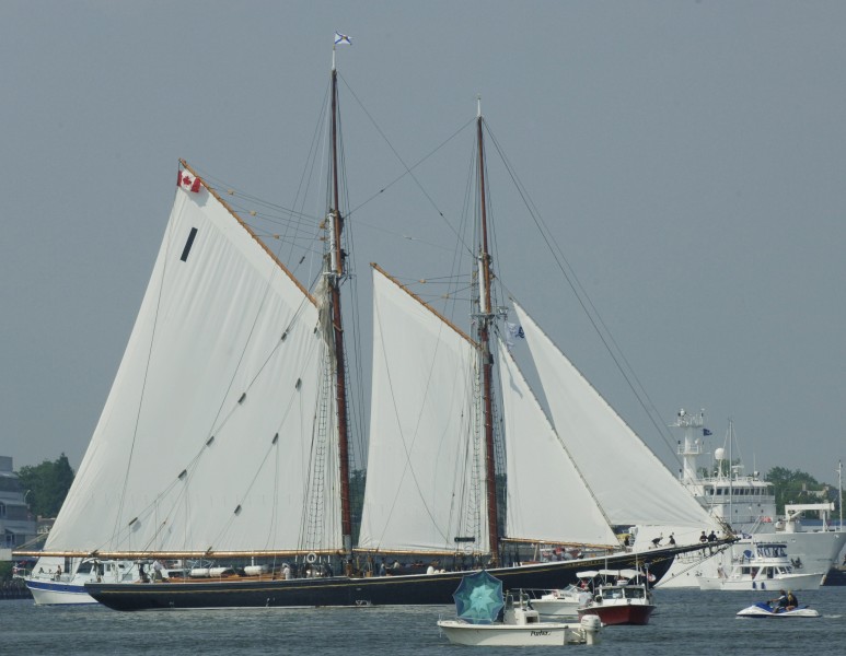 US Navy 060610-N-6639M-207 Ships sail into downtown Norfolk, to participate in Norfolk Harbor Fest