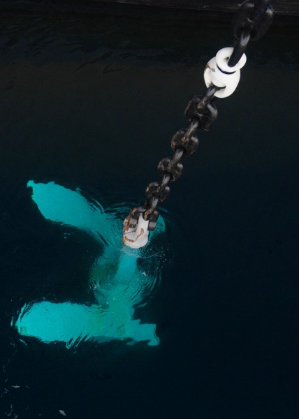 US Navy 101019-N-6863R-276 An anchor is lowered during an anchorage test in the forecastle aboard the aircraft carrier USS Carl Vinson (CVN 70)
