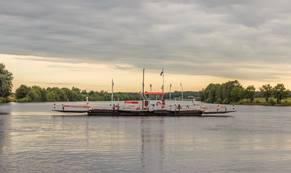 Veerpont in de Maas bij Broekhuizen (Horst aan de Maas) in provincie Limburg in Nederland 02