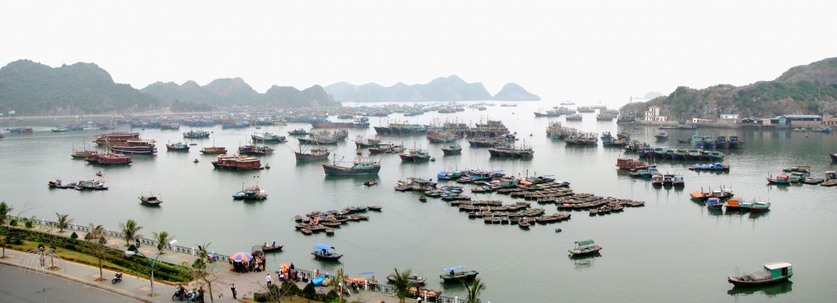 Vietnam 08 - 34 - Cat Ba harbour (3170057241)
