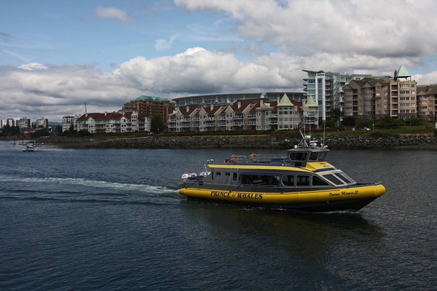 Whale Watching Boat (3734523760)