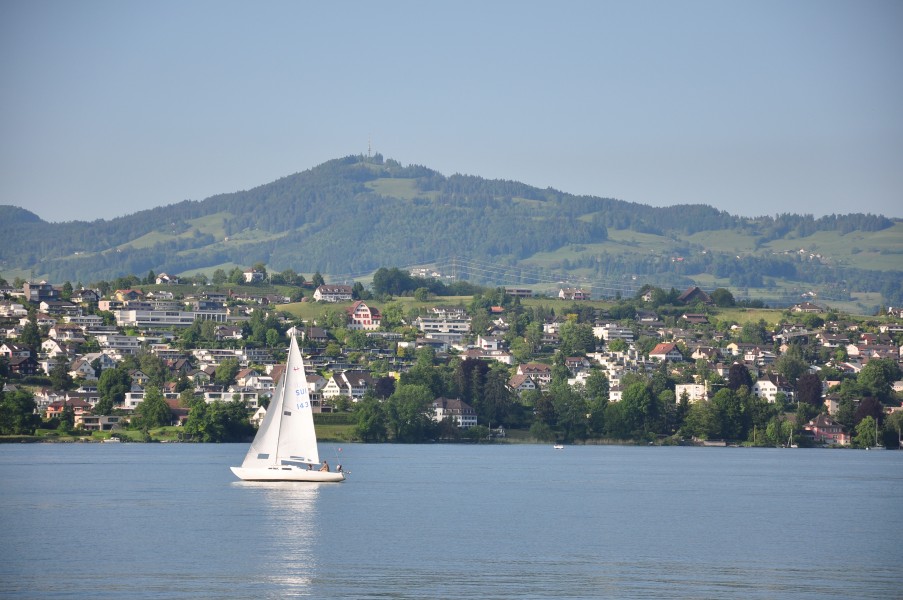 Zürichsee - Kempraten - Bachtel IMG 1140