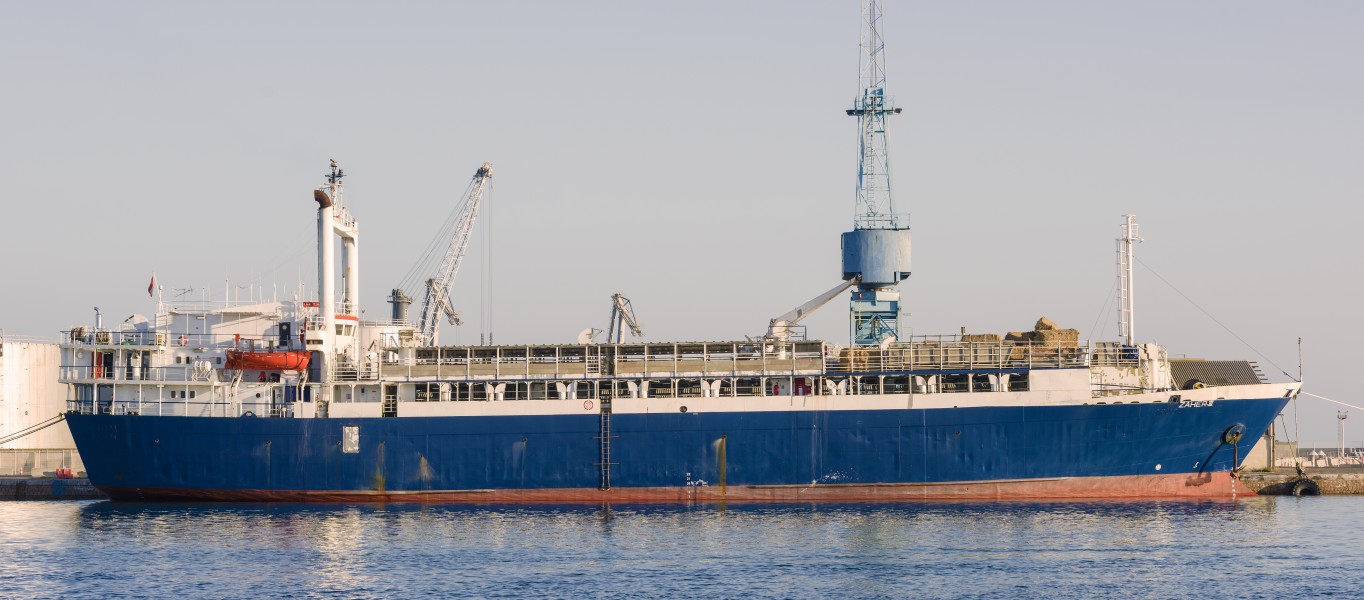 Zaher III (ship, 1971), Sète 01