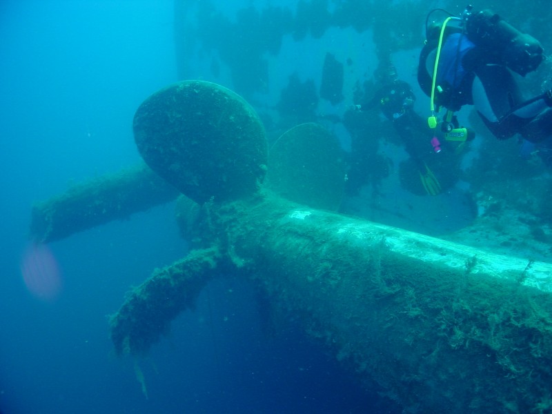 Zenobia 2003 3