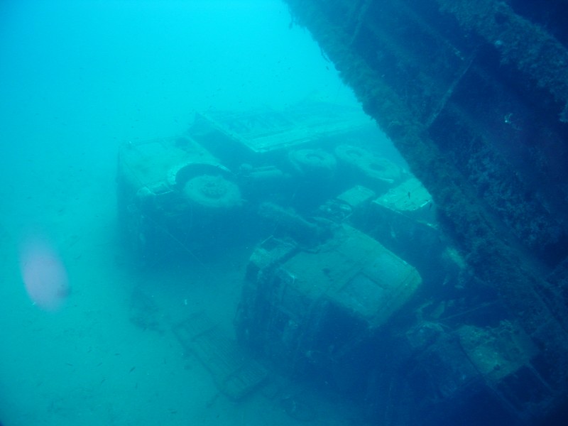 Zenobia 2003 6