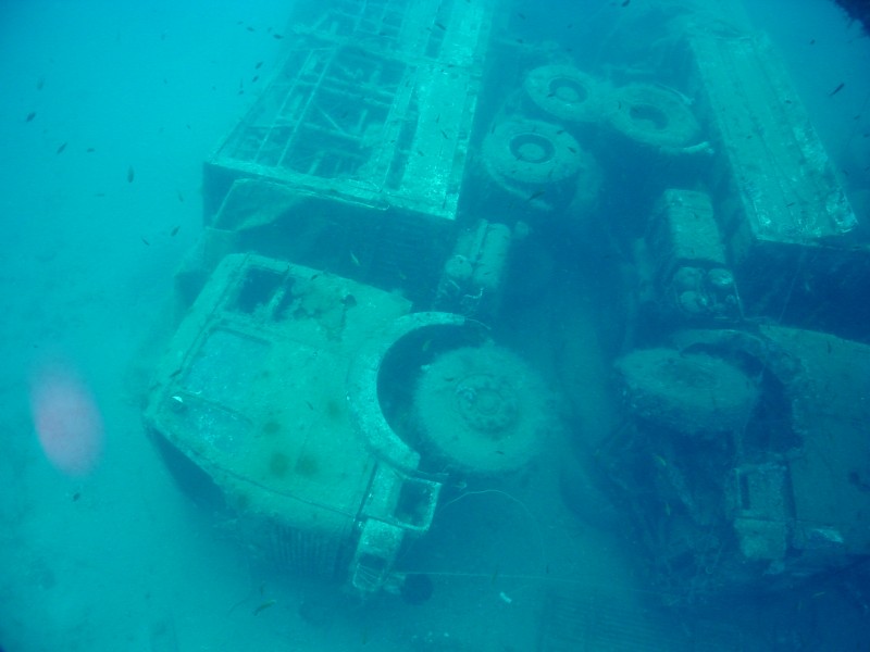 Zenobia 2003 7