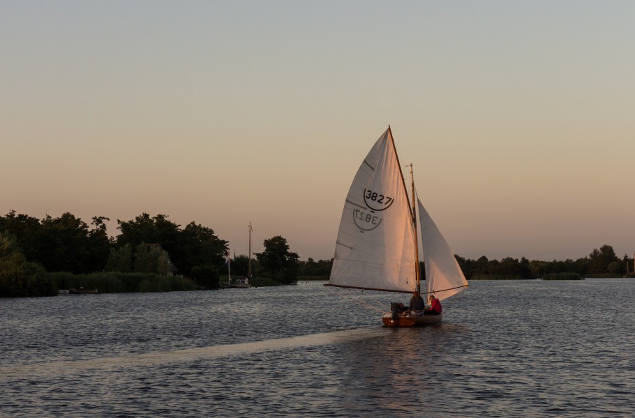 Zicht vanaf het water op de Alde Feanen van het It Fryske Gea. Waardevol natuurgebied in Friesland 002