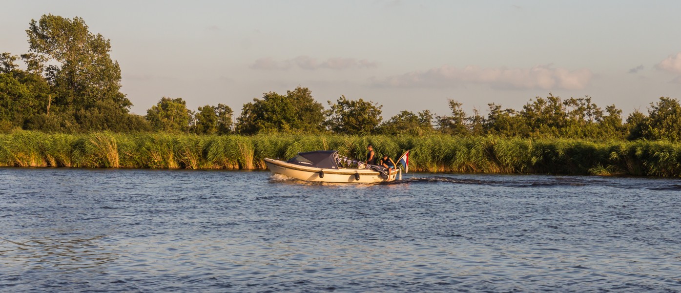 Zicht vanaf het water op de Alde Feanen van het It Fryske Gea. Waardevol natuurgebied in Friesland 08