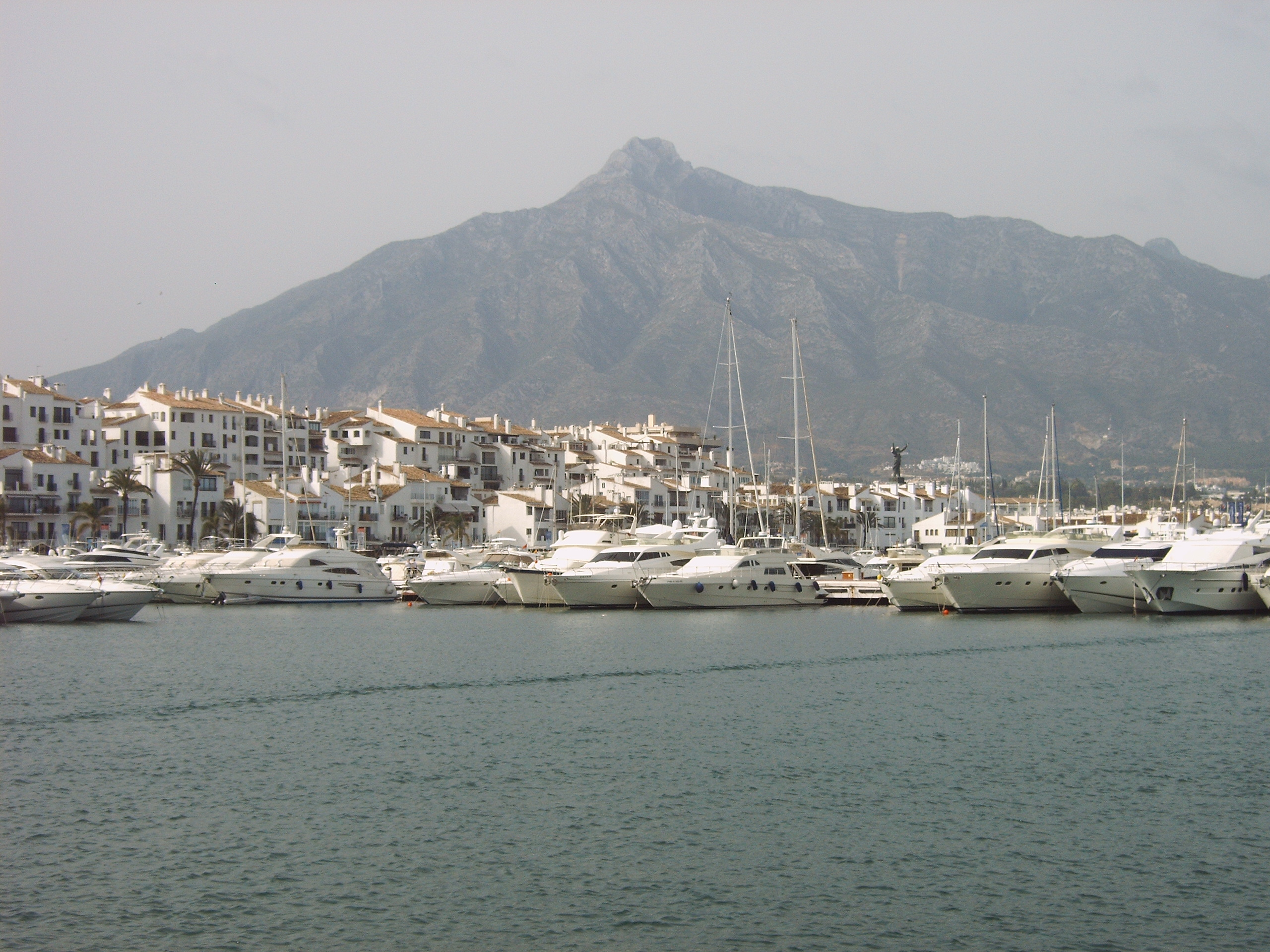 Puertobanus