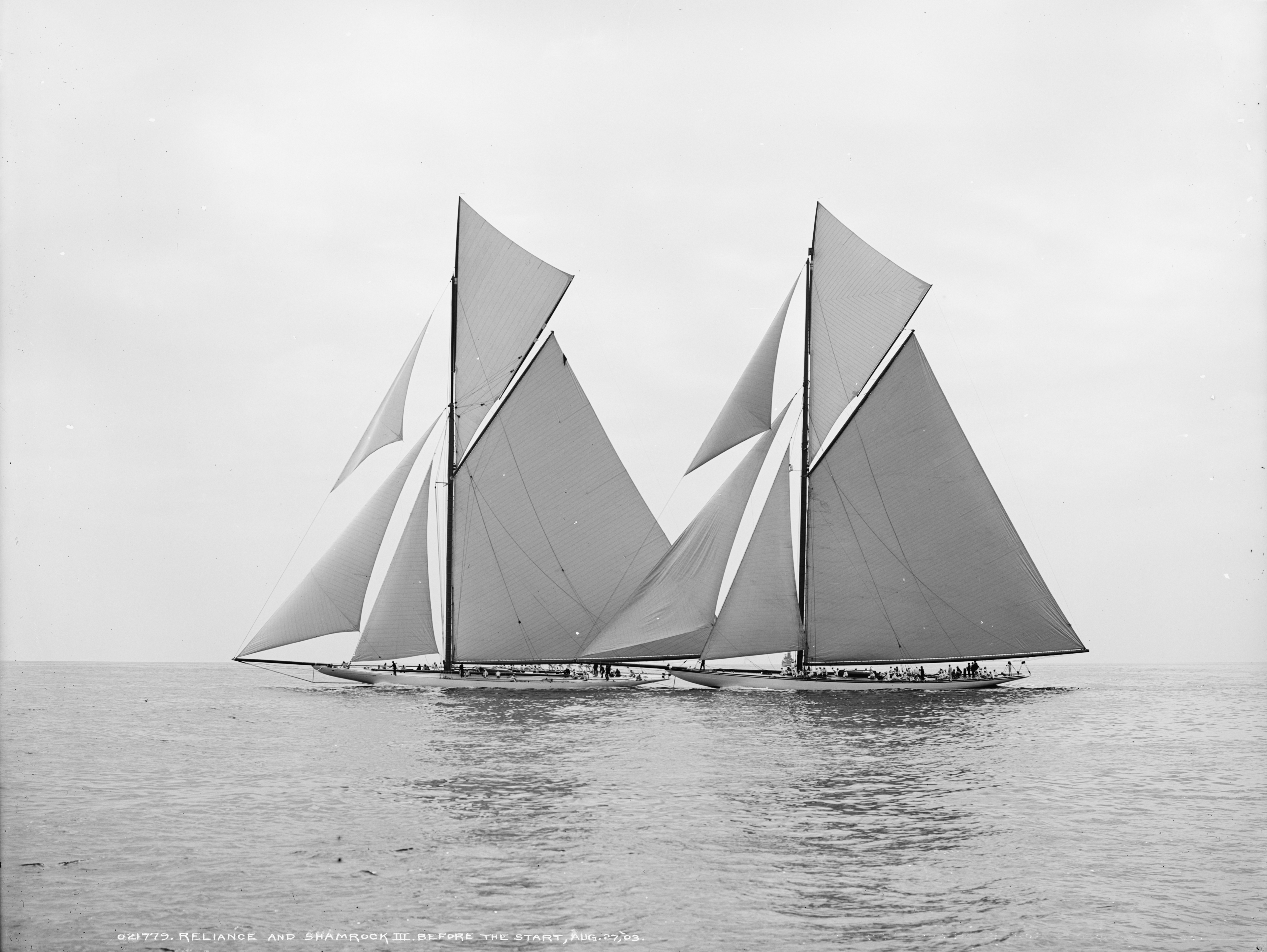 Reliance & Shamrock III