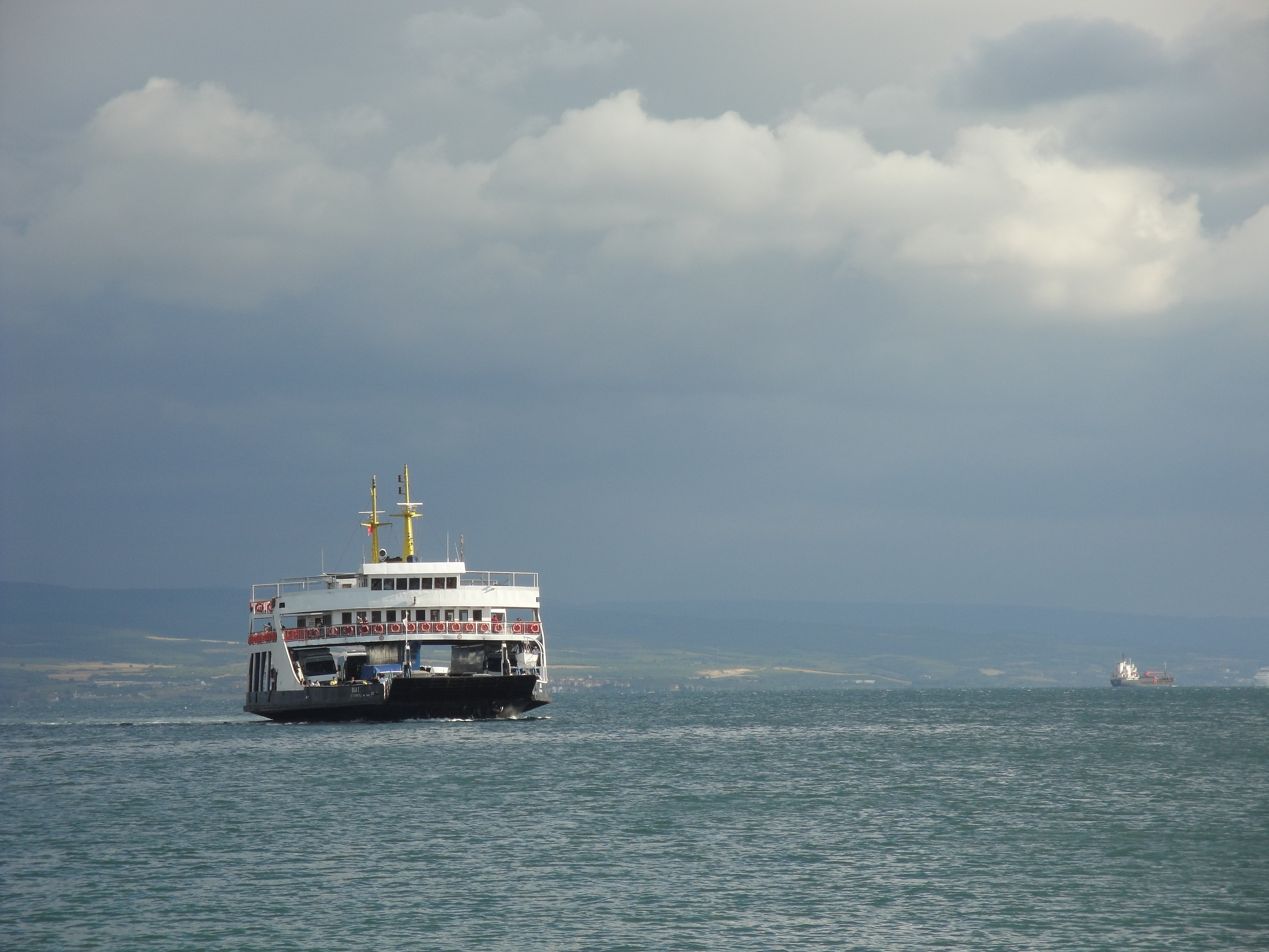 Roro 02787 Nevit