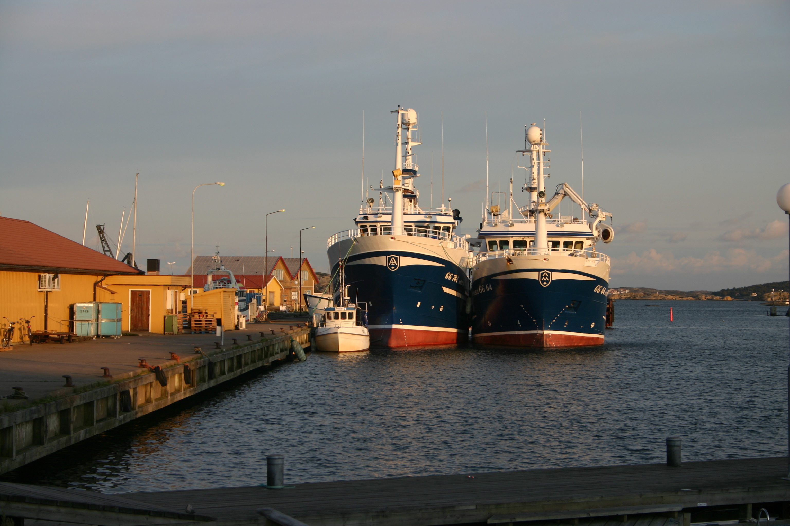 Rorohamn