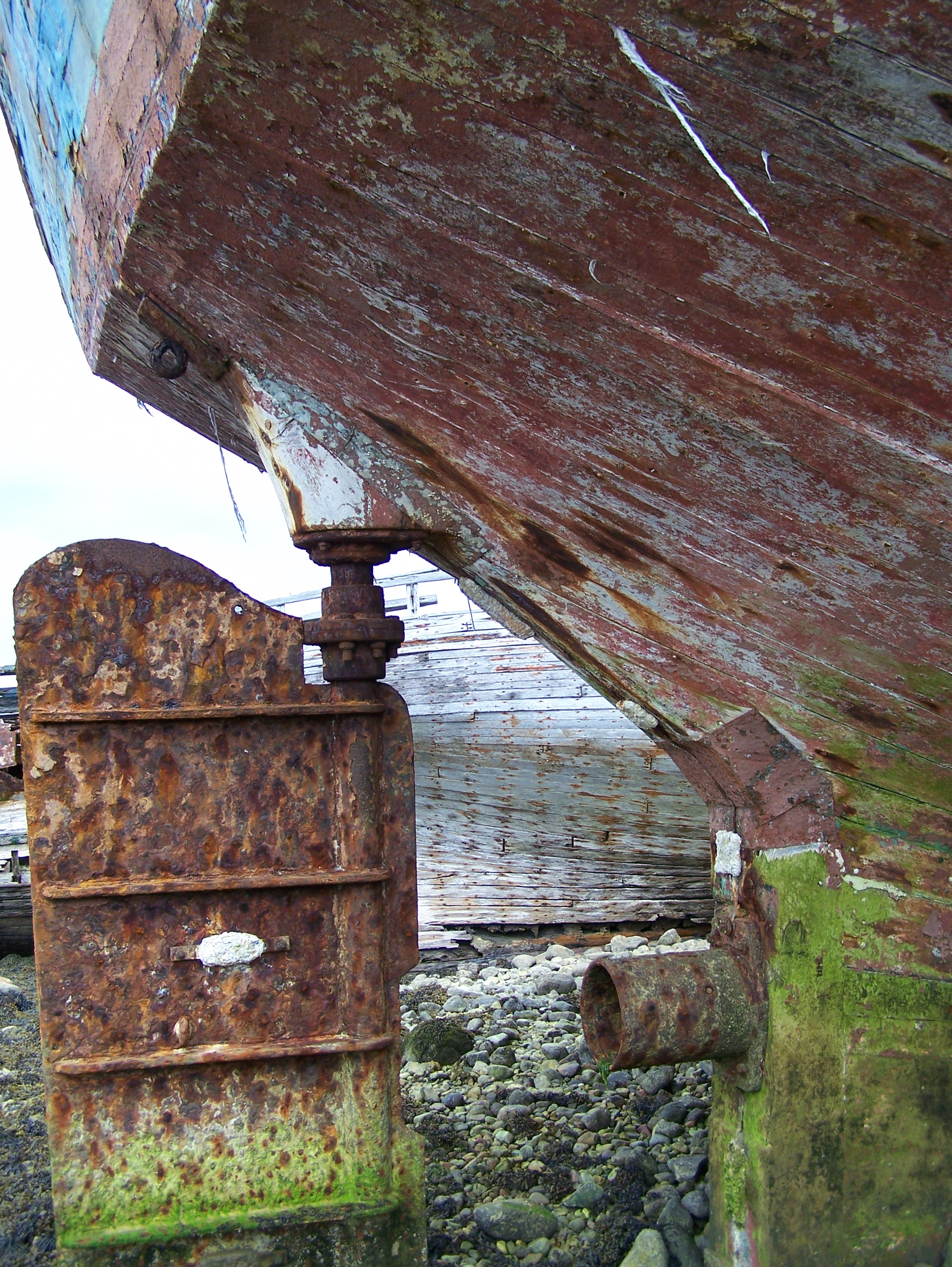 Safran bateau camaret
