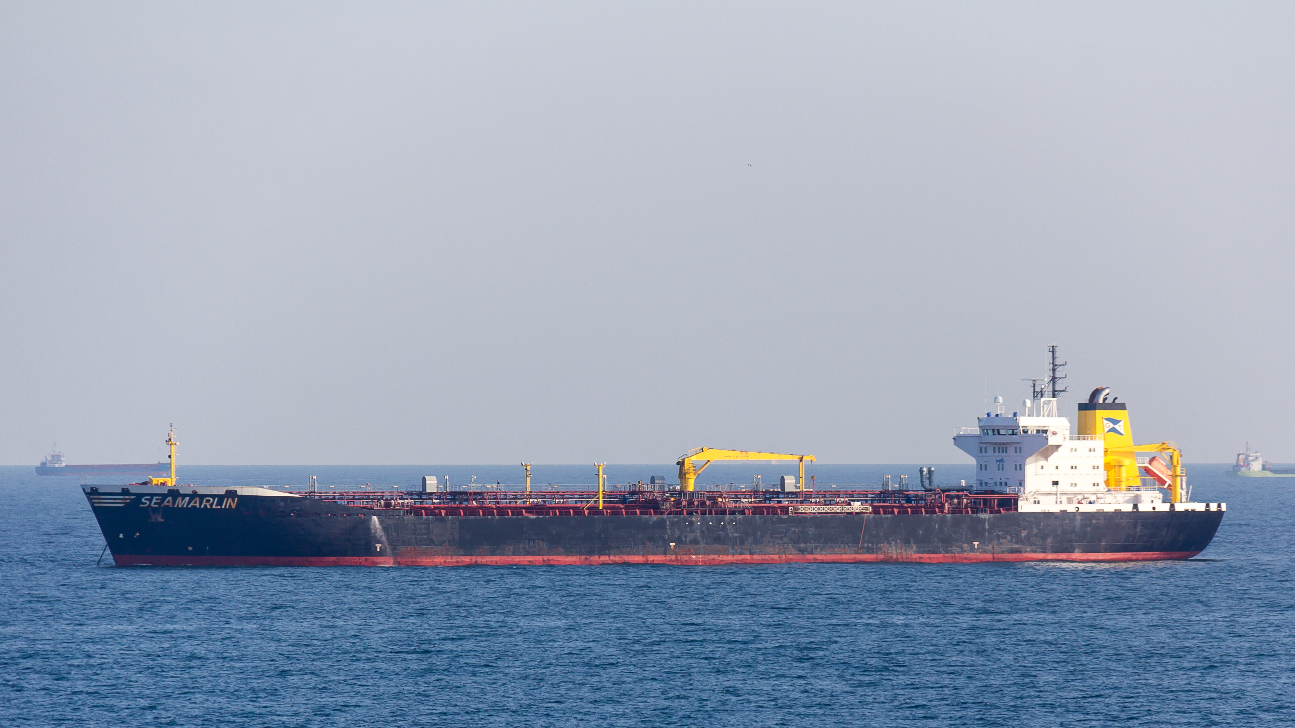 Seamarlin in the English Channel-Strait of Dover-3839