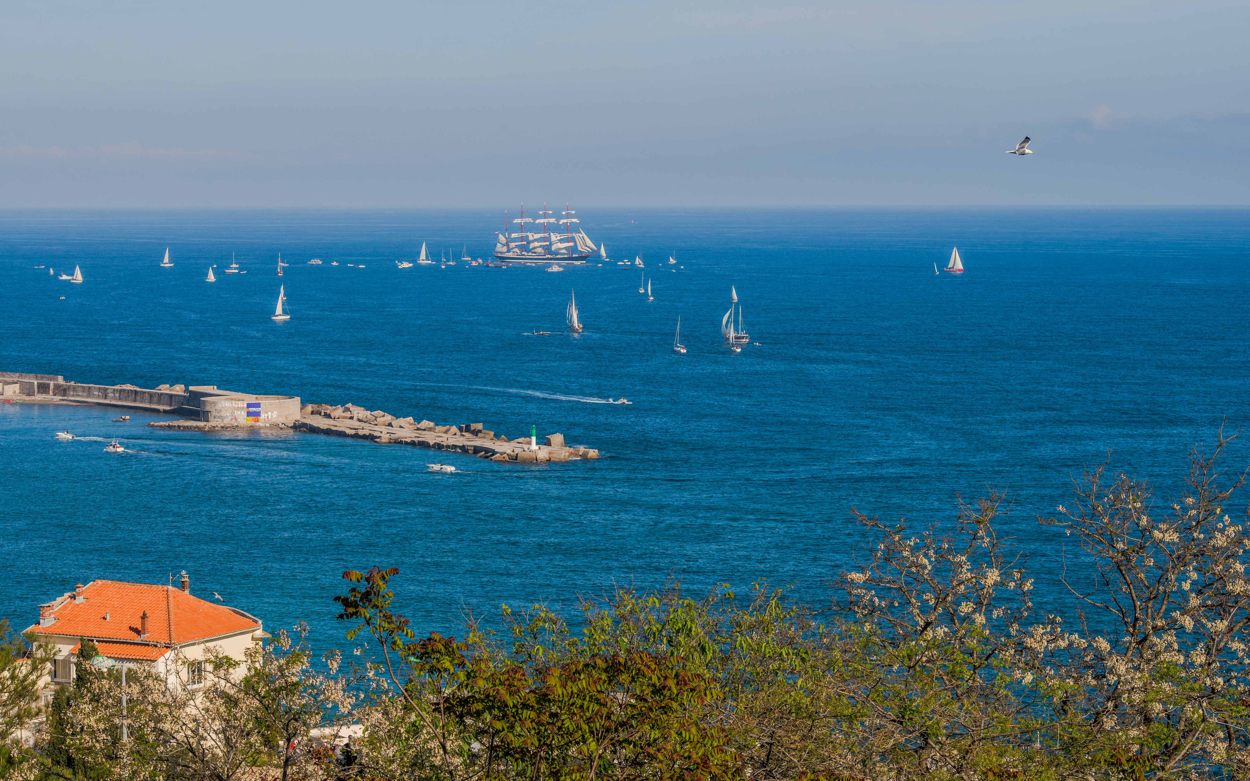 Sedov (ship, 1921), Sète, Hérault 05