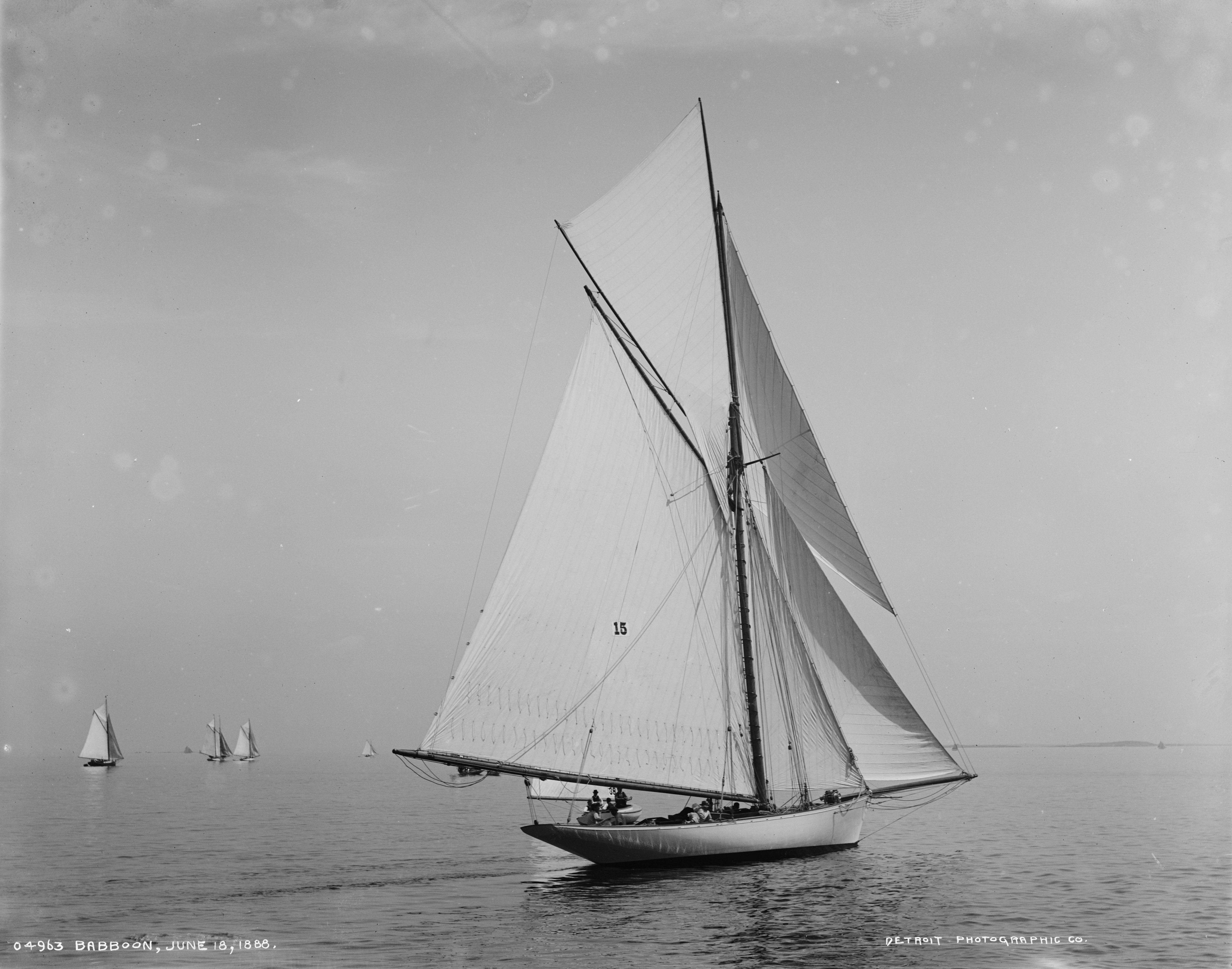 Sloop Babboon-1