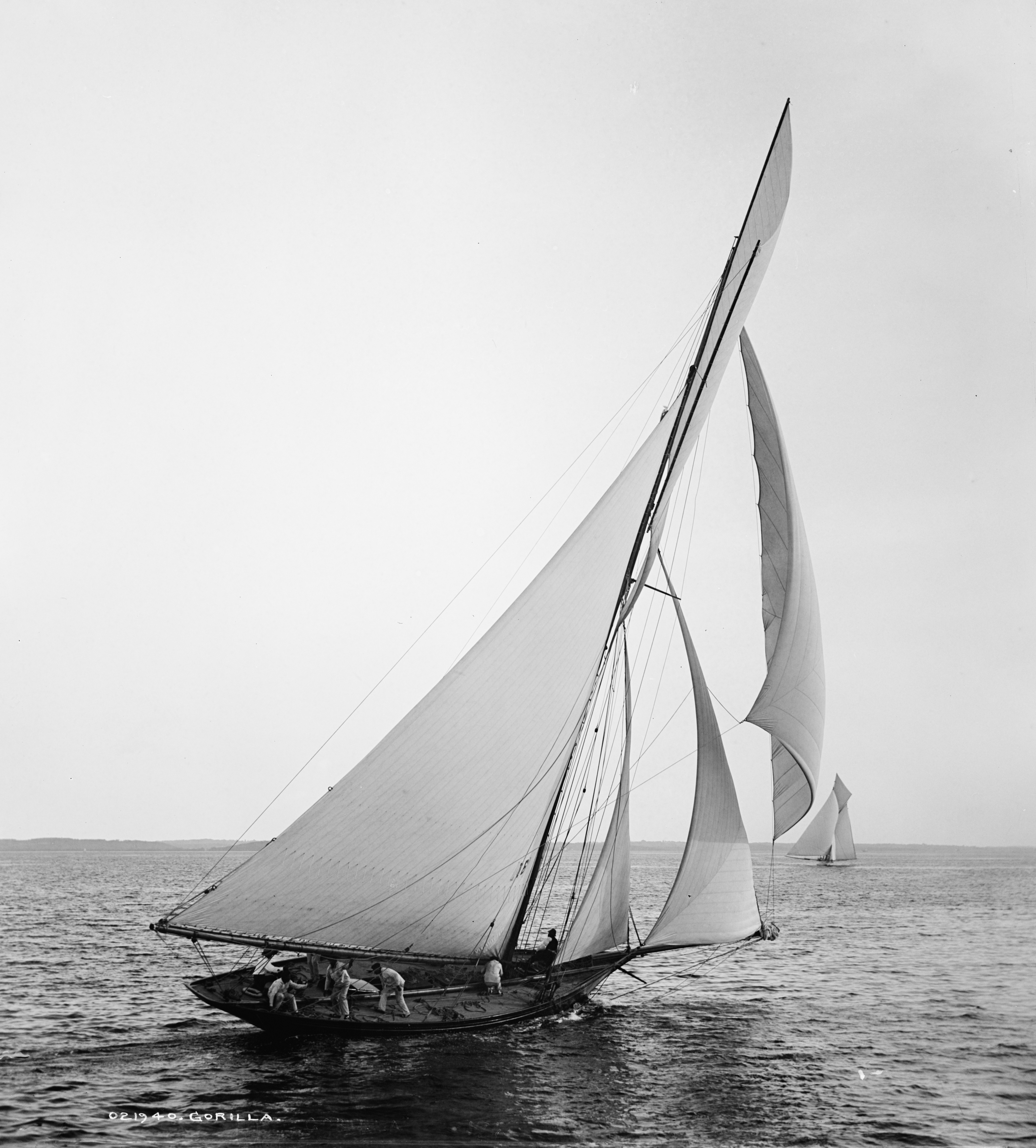 Sloop Gorilla-2