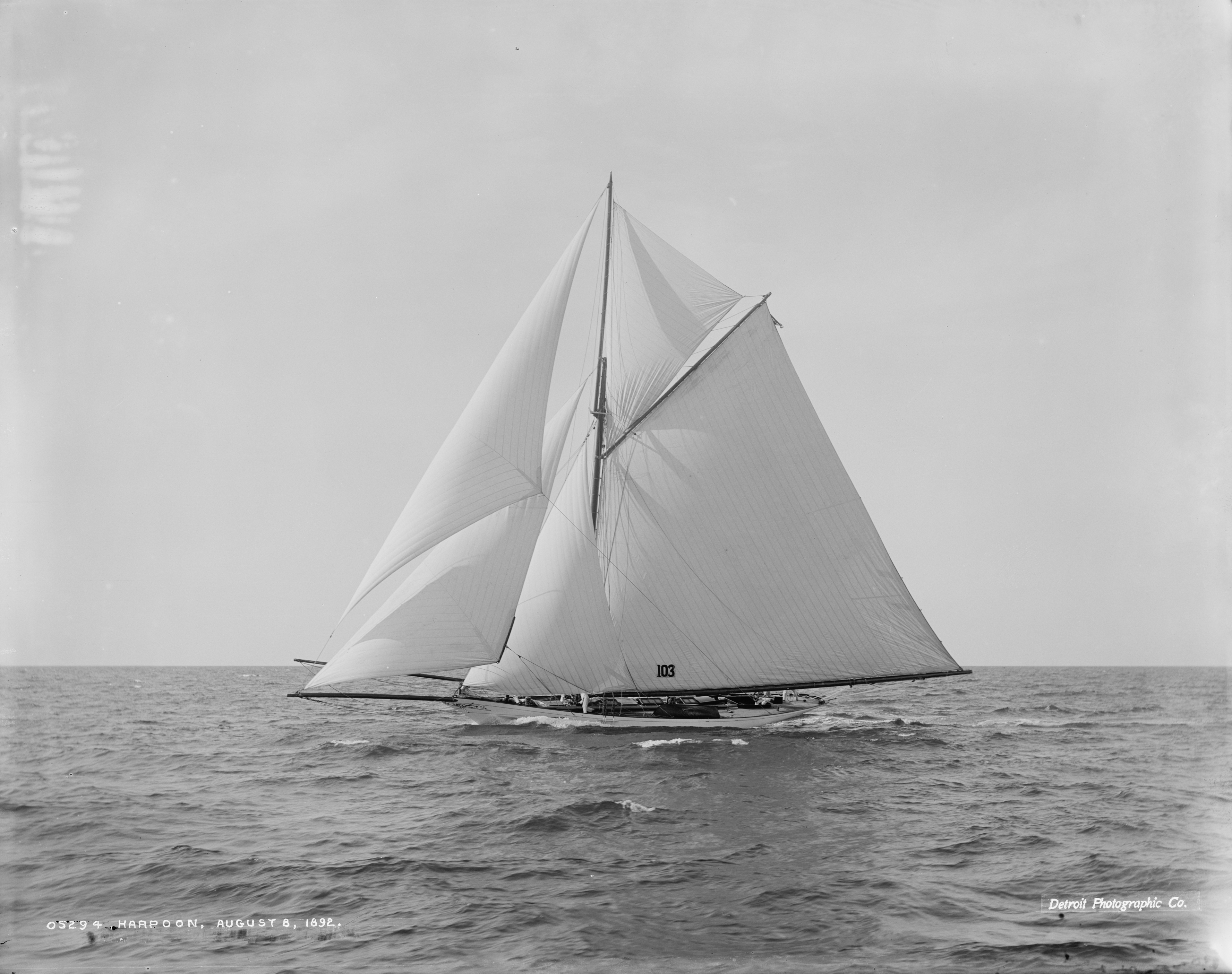 Sloop Harpoon-1
